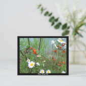 Carte Postale Fleurs sauvages à Glacier (Debout devant)