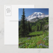 Carte Postale Fleurs sauvages au Mont Rainier (Devant / Derrière)