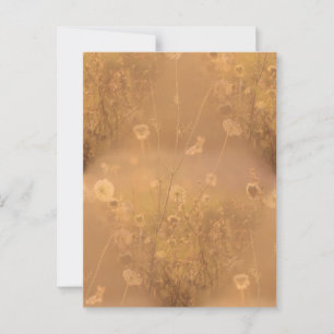 Carte Postale Fleurs sauvages avec éclat orange
