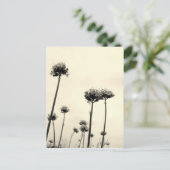 Carte Postale Fleurs sauvages (B&W) (Debout devant)
