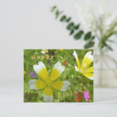 Carte Postale Fleurs sauvages : Blanc Jaune Joyeux Anniversaire (Debout devant)