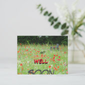 Carte postale Fleurs sauvages Coquelicots Banc Pro (Debout devant)
