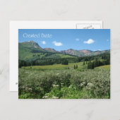Carte Postale Fleurs sauvages dans Crested Butte (Devant / Derrière)
