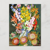 Carte Postale Fleurs sauvages de Ceres, Afrique du Sud (Devant)