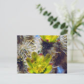 Carte Postale Fleurs sauvages de Cholla Cactus en argent (Debout devant)