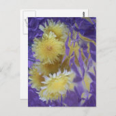 Carte Postale Fleurs sauvages de désert jaune (Devant / Derrière)