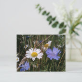 Carte Postale Fleurs sauvages de l'Oregon (Debout devant)