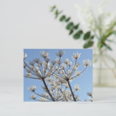 Carte Postale Fleurs sauvages d'hiver (Debout devant)
