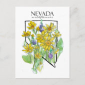 Carte Postale Fleurs sauvages du désert Nevada Lupines Balsamroo (Devant)