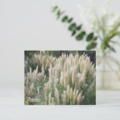Carte Postale Fleurs sauvages du Texas (Debout devant)