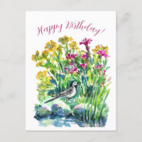 Fleurs sauvages et bergeronnette pied-noir