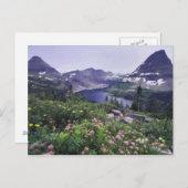 Carte Postale Fleurs sauvages et lac caché, Shrubby (Devant / Derrière)