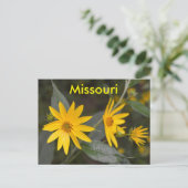 Carte Postale Fleurs sauvages jaunes du Missouri (Debout devant)