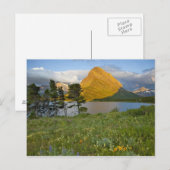 Carte Postale Fleurs sauvages le long du lac Swiftcurrent dans l (Devant / Derrière)
