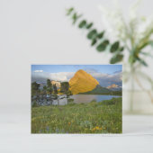 Carte Postale Fleurs sauvages le long du lac Swiftcurrent dans l (Debout devant)