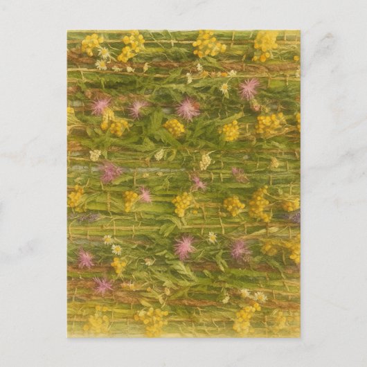 Carte Postale Fleurs sauvages lettons - Nature préservée (Devant)