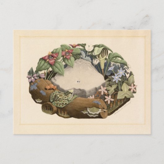 Carte Postale Fleurs sauvages par Grant Wood (Devant)