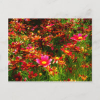Fleurs sauvages rose et jaune pâle