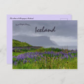 Carte Postale Fleurs sauvages sur la rive de Thingeyri Islande (Devant / Derrière)