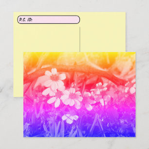 Carte Postale Fleurs sauvages Vibe des années 70 avec boîte d'id