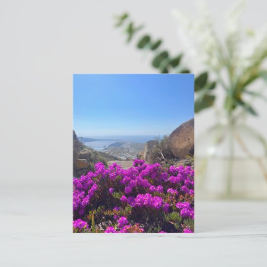 Carte Postale Fleurs sauvages violettes Santorin Grèce Photograp (Debout devant)
