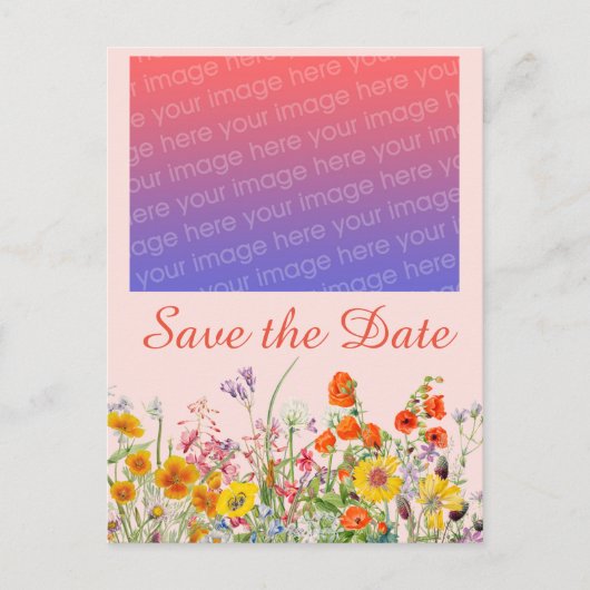 Carte Postale Fleurs sauvages vives (Devant)