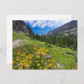 Carte Postale Fleurs | Sentier de fleurs du Montana (Devant / Derrière)