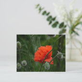 Carte Postale fleurs s'épanouissent (Debout devant)