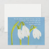 Carte Postale Fleurs SnowDrops (Devant / Derrière)