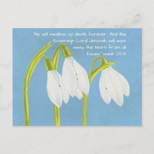 Carte Postale Fleurs SnowDrops (Devant)