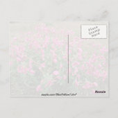 Carte Postale Fleurs sur la toundra, Alaska Fleurs roses (Dos)