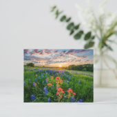 Carte Postale Fleurs | Texas Bluebonnets & Indian Paintbrush (Debout devant)