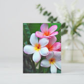 Carte Postale Fleurs tropicales (Debout devant)