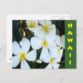 Carte Postale Fleurs tropicales hawaïennes (Devant / Derrière)