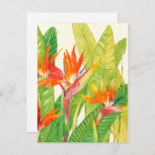 Carte Postale Fleurs tropicales | Oiseau du paradis (Devant / Derrière)