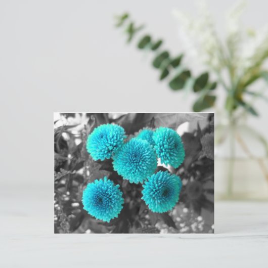 Carte Postale Fleurs turquoise (Debout devant)