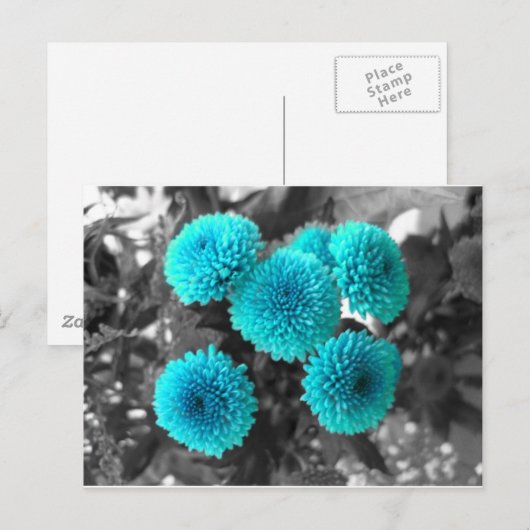 Carte Postale Fleurs turquoise (Devant / Derrière)