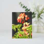 Carte Postale Fleurs ukrainiennes (Debout devant)