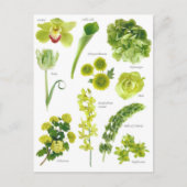 Carte Postale Fleurs vert (Devant)