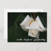 Carte Postale Fleurs Vertes Apaisantes Rose Blanche Sympathie (Devant / Derrière)