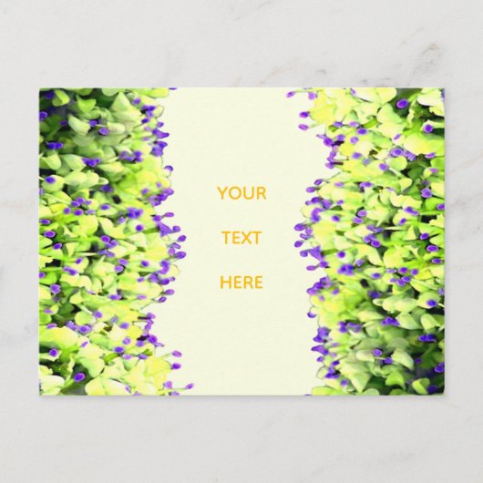 Carte Postale fleurs vertes et violettes (Devant)