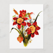 Carte Postale Fleurs Vintage (Devant)