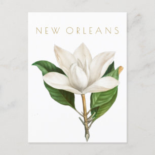 Carte Postale Fleurs vintage de la Nouvelle-Orléans voyage milie