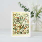 Carte postale Fleurs vintages (Debout devant)