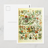Carte postale Fleurs vintages (Devant / Derrière)