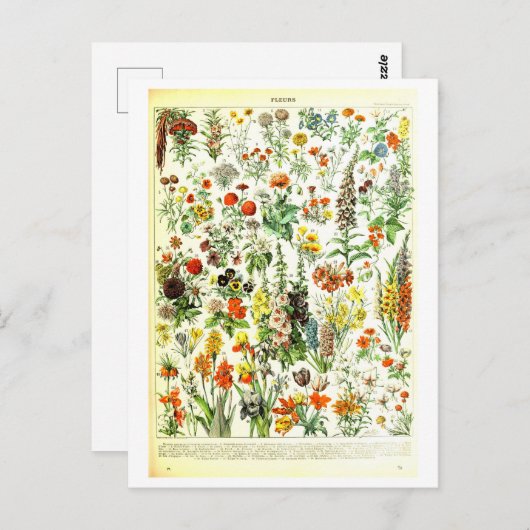 Carte postale Fleurs vintages (Devant / Derrière)