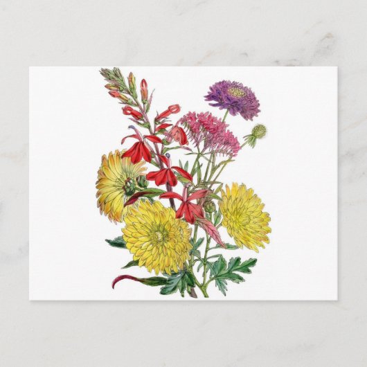Carte Postale Fleurs vintages (Devant)