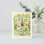 Carte postale Fleurs vintages (Debout devant)