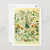 Carte postale Fleurs vintages (Devant / Derrière)