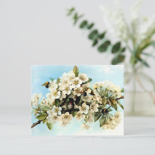 Carte Postale Fleurs vintages d'Apple (Debout devant)